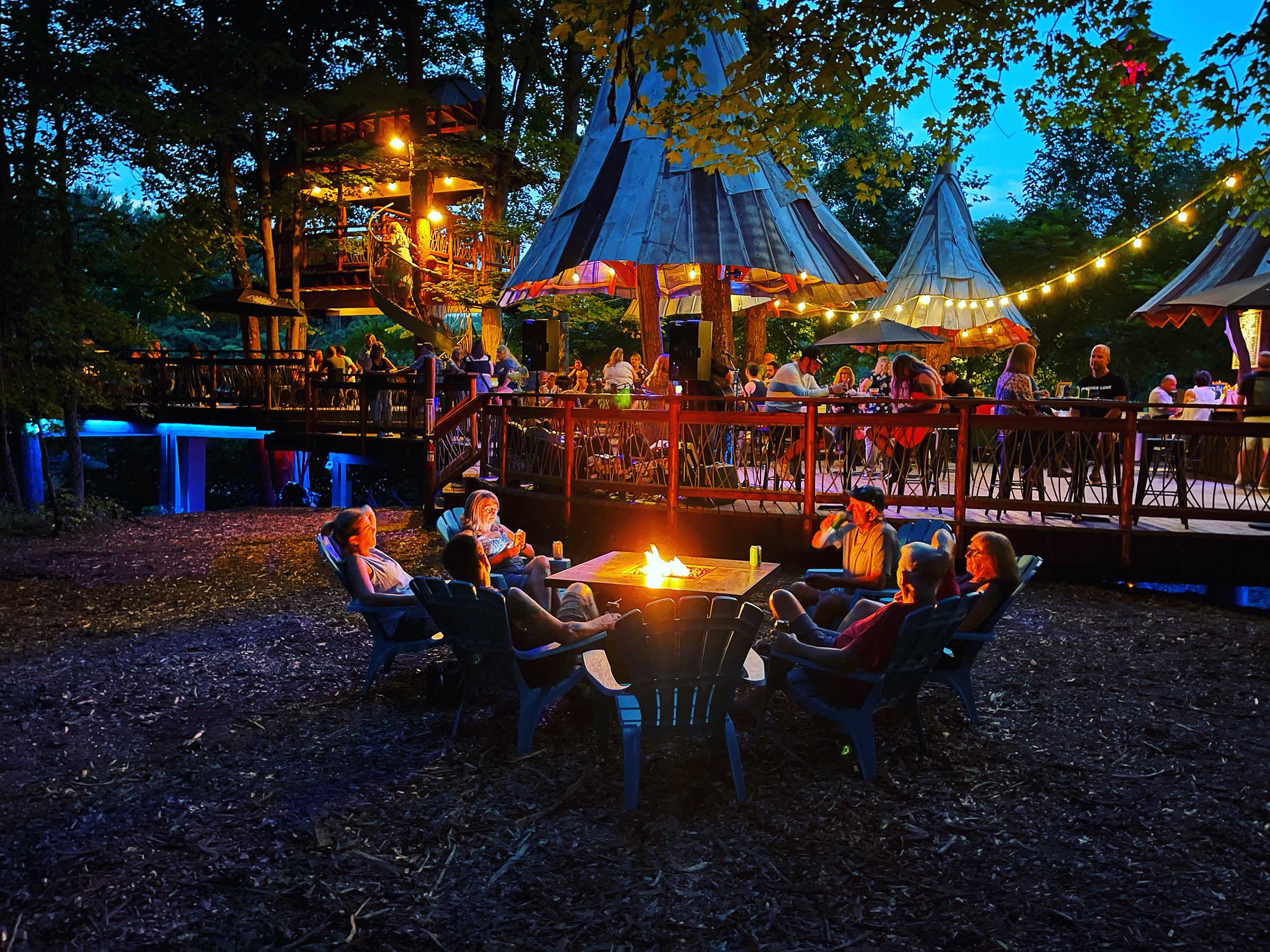 blueberry treehouse farm-1-photo by Rico Rivera-reduced